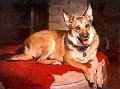 Buffy